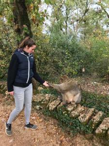 Villas GiteDordogne : photos des chambres