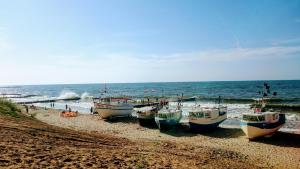 SEA & LAKE