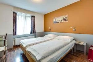 Alexander Guesthouse Zurich Old Town - 苏黎世
