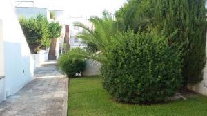 Appartamento con Terrazza