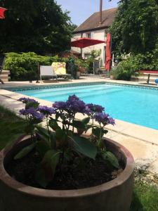 B&B / Chambres d'hotes CHAMBRES D HOTES Chez Francoise et Michel PISCINE 4 chambres 8 lits : photos des chambres