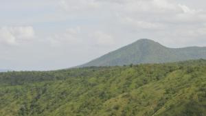 Green Peace Bheemeshwari