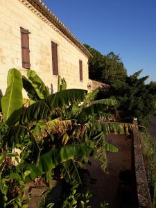 Maisons de vacances Mas du Grand Bourry : photos des chambres