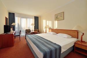 Standard Plus Double Room room in Danubius Hotel Bük