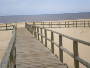 ALTURA T1 - 阿尔图拉