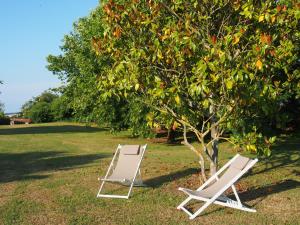 B&B / Chambres d'hotes La Charentine : photos des chambres