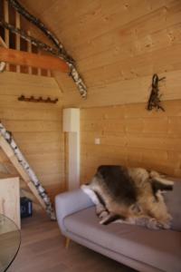 Lodges Ecolodge Beauregard : photos des chambres