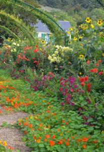 B&B / Chambres d'hotes Forest Farm : photos des chambres