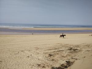 Chalets Chalet Elocances : photos des chambres