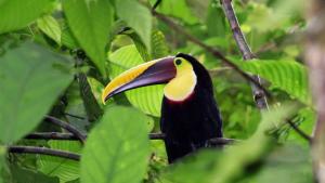 Santa Juana Lodge & Nature Reserve