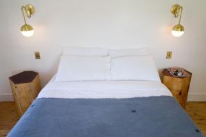 Standard Queen Room room in Alamo Motel