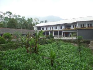 Km 31 Sujono Guesthouse