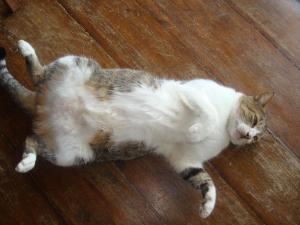 Hotel Nantu Hostería