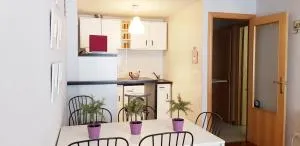 Vivienda Turística Pirineos XXI - Канфранк