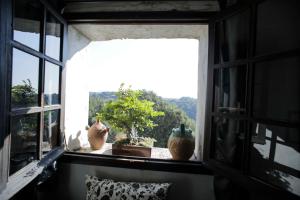 Maisons d'hotes la maison aux bonsais : photos des chambres