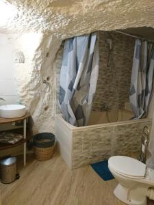 Appartements Les Gites des Chateaux, gites troglodytiques : photos des chambres