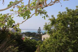 Coral Tree SelfCatering