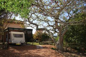 Coral Tree SelfCatering