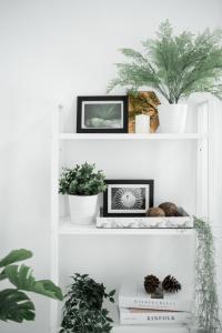 Studio 41 Salaya-Sai4