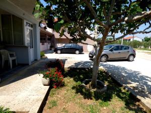 Apartments Branko Nin