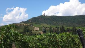 Maisons de vacances Gite Le Petit Moulin : photos des chambres