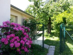 Appartements Les Cerisiers : photos des chambres