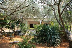 Holiday apartments Vrgada Biograd 4200