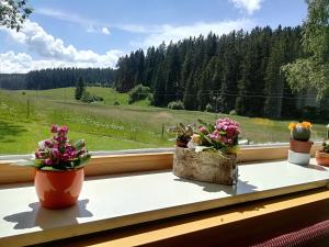 Garni Hotel Kaltenbach