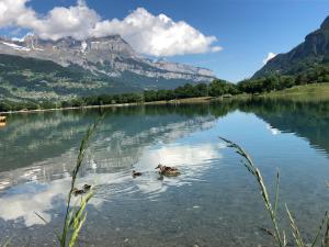 Chalets Le Moulin des Olirics : photos des chambres