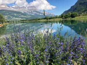 Chalets Le Moulin des Olirics : photos des chambres