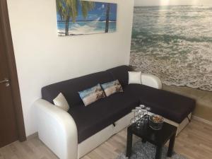 Apartament Antonia Sat Vacanta