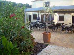 Campings Camping Torraccia : photos des chambres