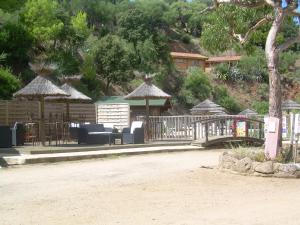 Campings Camping Torraccia : photos des chambres