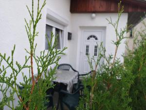 Apartment Phoenix No.12