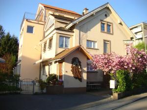 Pensjonat Niros Bed & Breakfast Bazylea Szwajcaria