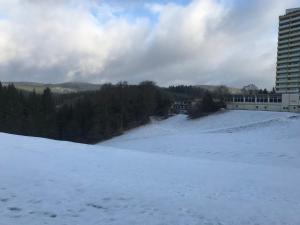 App 613 Panoramic Hohegeiß Terrassenhaus