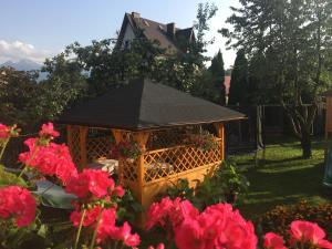 Apartamenty w Jurgowie Świstokówka