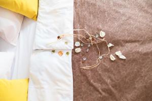 Apartmani Maja Sokobanja