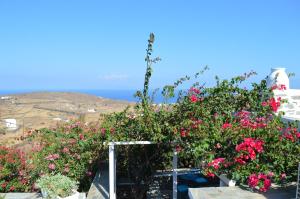 Efthymia's Apartments Sifnos Greece