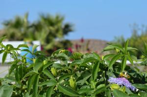 Efthymia's Apartments Sifnos Greece