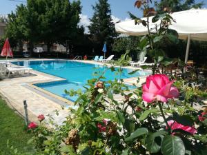 Prespa Resort & Spa