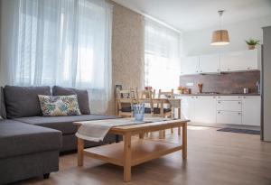 Downtown pedestrian zone apartment