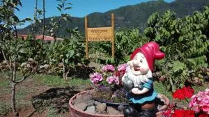 Granny's farm - São Vicente