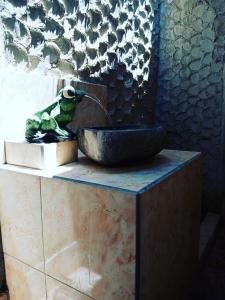 Phòng Đôi (Double Room)