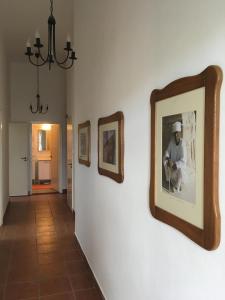 ApartmentVillaSolomon7 - Dunakanyar Apartman Visegrád Panorámás