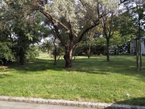 Apartment Paradies - U1 Station altes Landgut