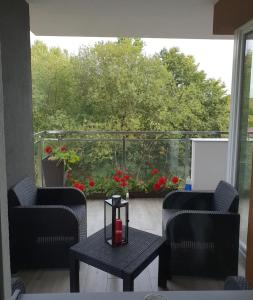 Apartament Widok