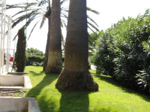 Appartements Cannes Terrace Beach Front & Sea view : photos des chambres