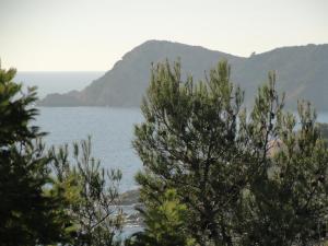 Appartements Cannes Terrace Beach Front & Sea view : photos des chambres