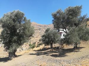 Sea Breeze Rethymno Greece